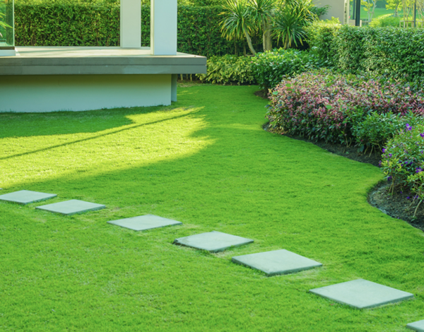 landscape01 casa blanca construction