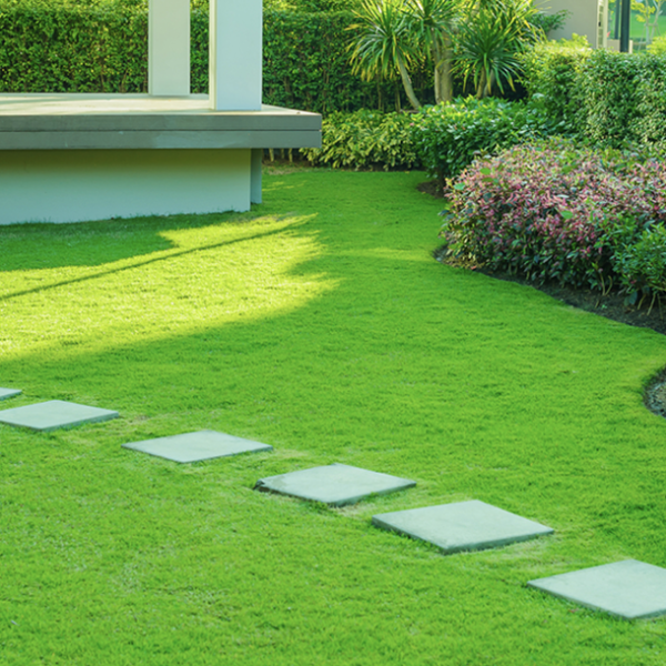 landscape01 casa blanca construction
